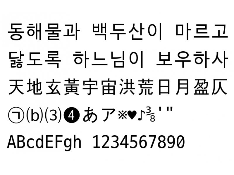 D2 Coding 글꼴 : D2Coding.ttf