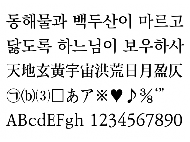 KoPub바탕체 Medium : KoPubBatang_Pro Medium.otf