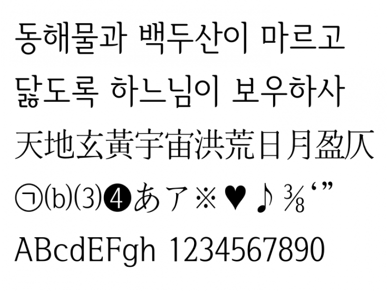 서울한강 장체 Light : 서울한강 장체L.otf