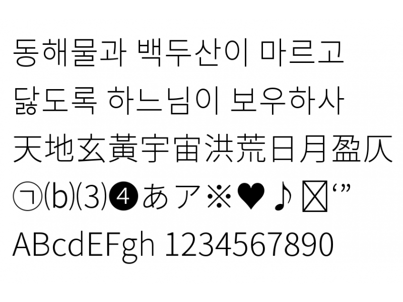 본고딕(노토 산스 CJK) Light : SourceHanSansKR-Light.otf